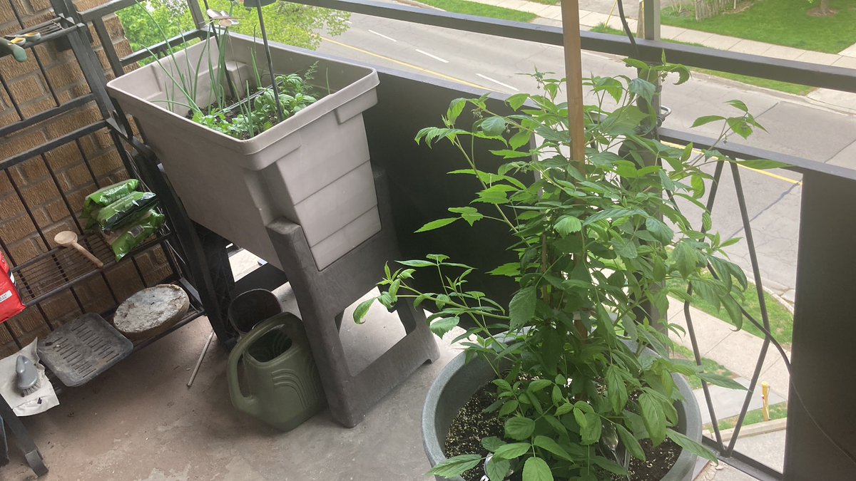 Christopher 🫨 tweet media