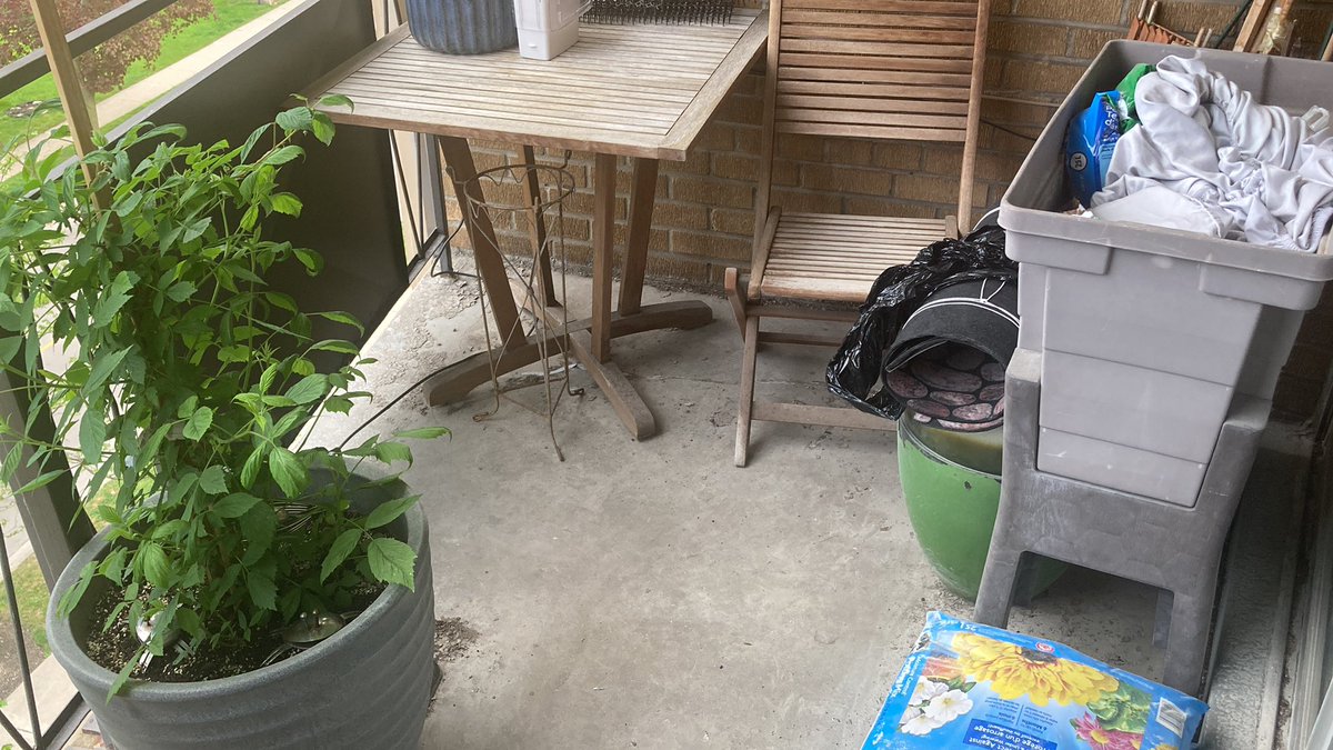 Christopher 🫨 tweet media