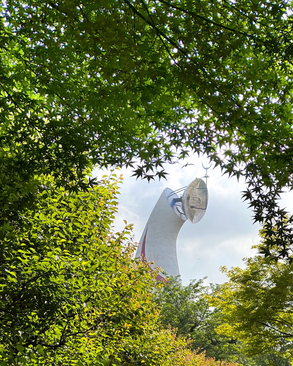 アウトドアパーク撮影２日目。
昨日と打って変わってめちゃくちゃ快晴！
outdoorpark.jp