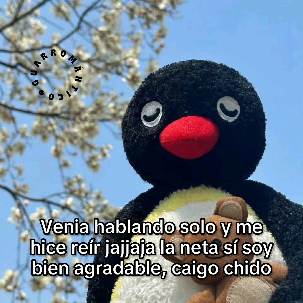 Me caigo chido!