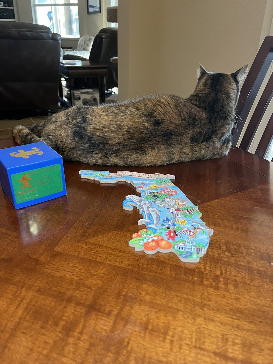 Fendi puzzle day. The Sunshine State