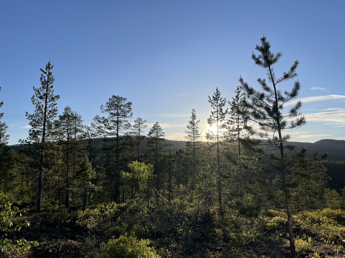 Constitution Day🇳🇴🥂Sunset After a lovely day🇳🇴😊💕🦋