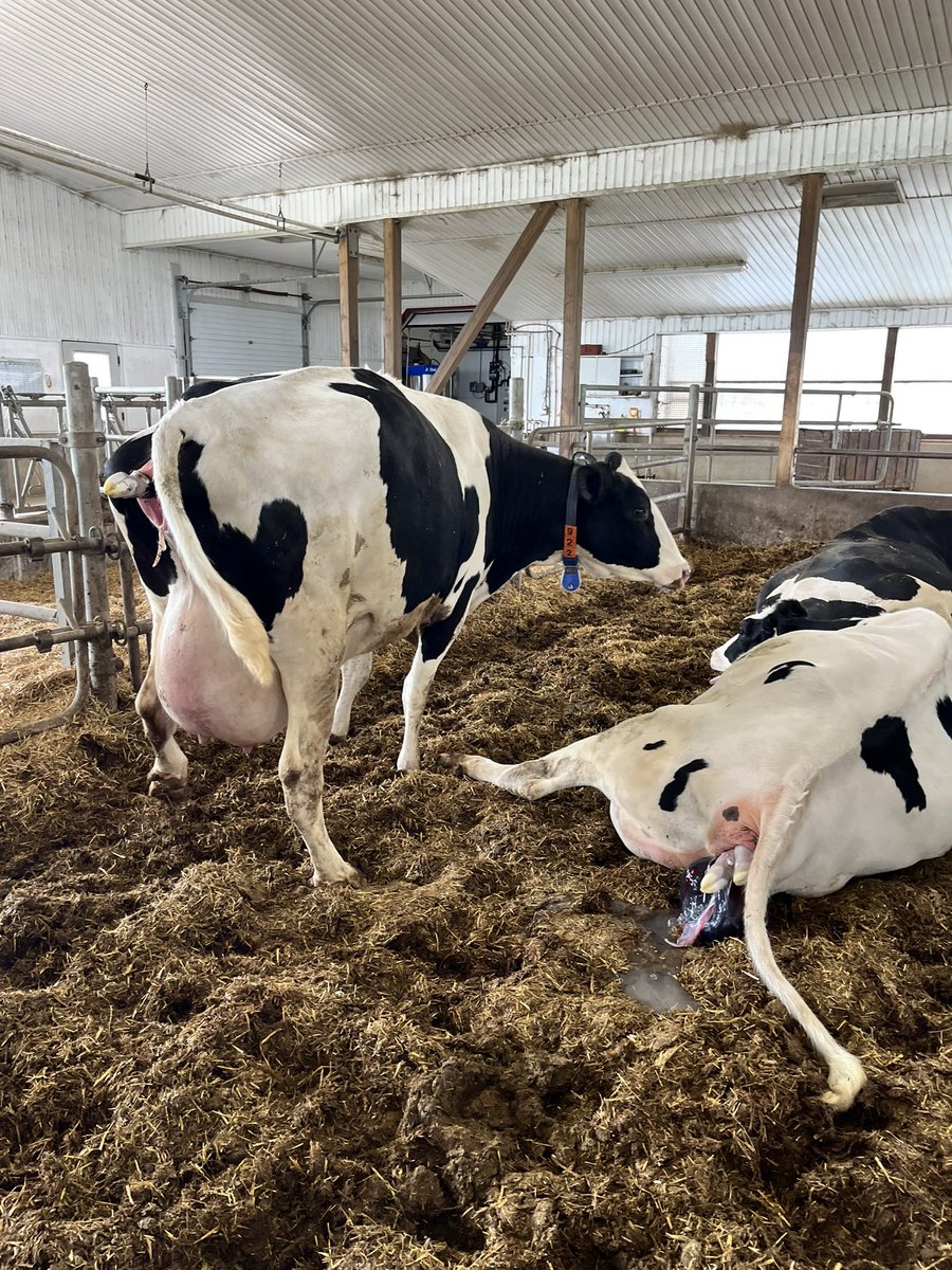 Sytse Heeg tweet media