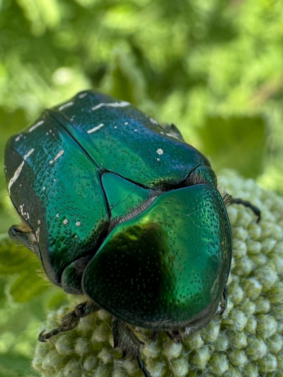 Helen Valentine tweet media