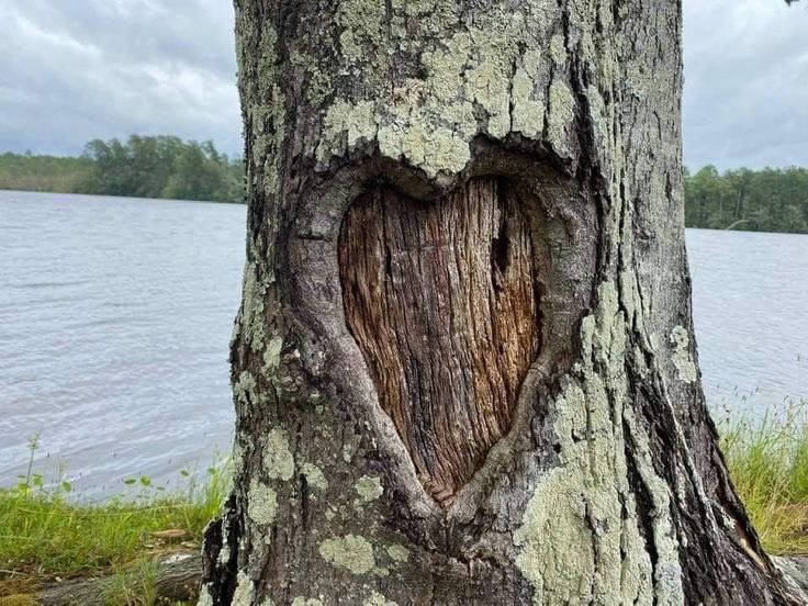 controdicting's tweet image. ・   。❤︎  ゜・。❤︎  ゜・。❤︎  ゜・。❤︎  ゜・