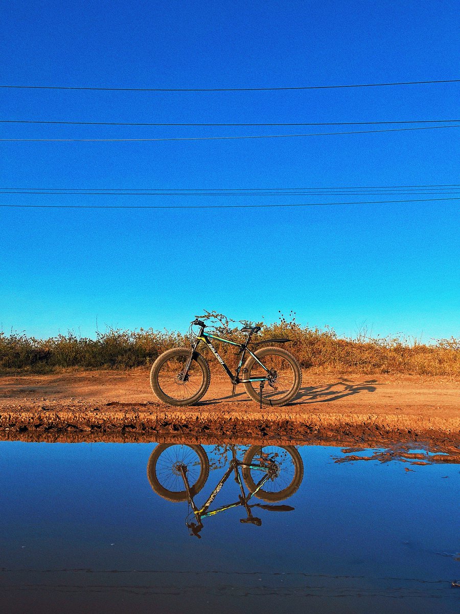 WAKITANGA II tweet media