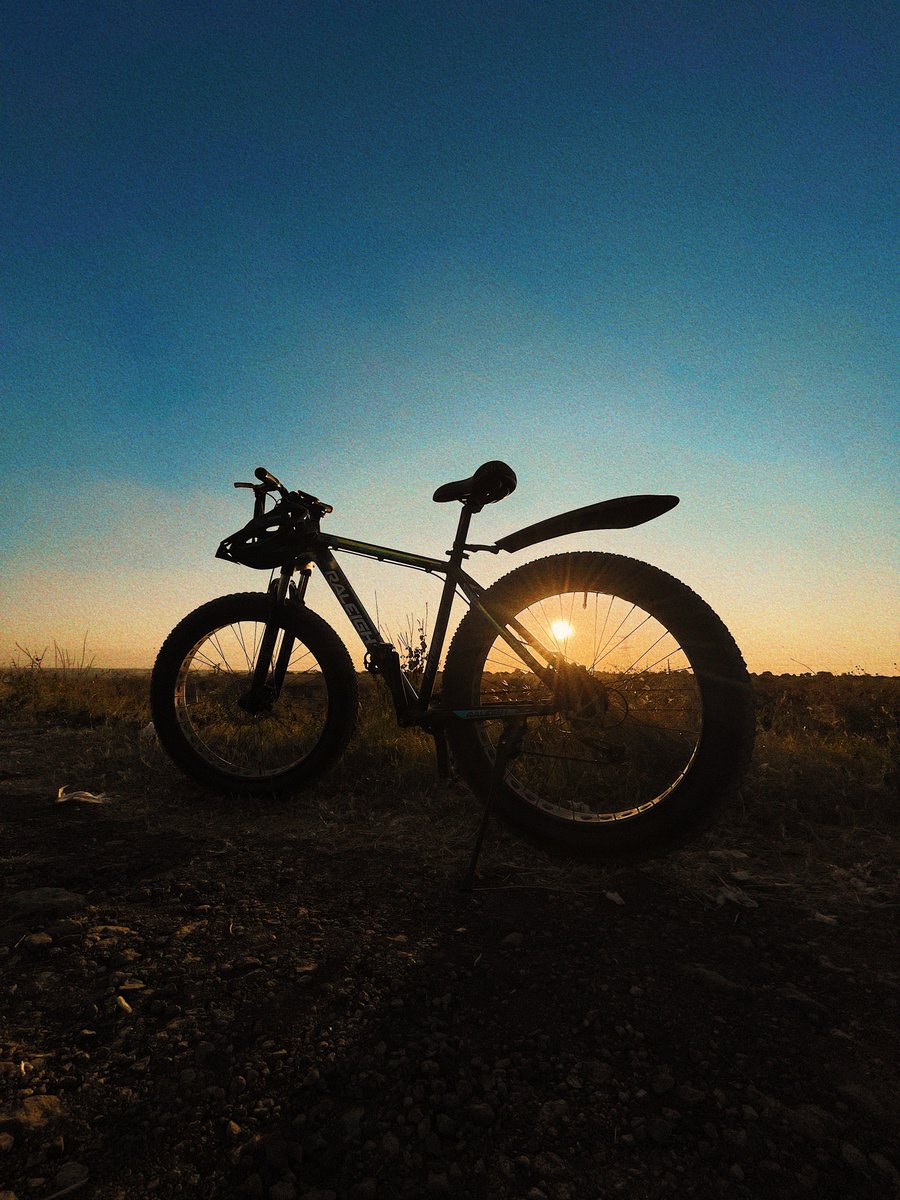 WAKITANGA II tweet media