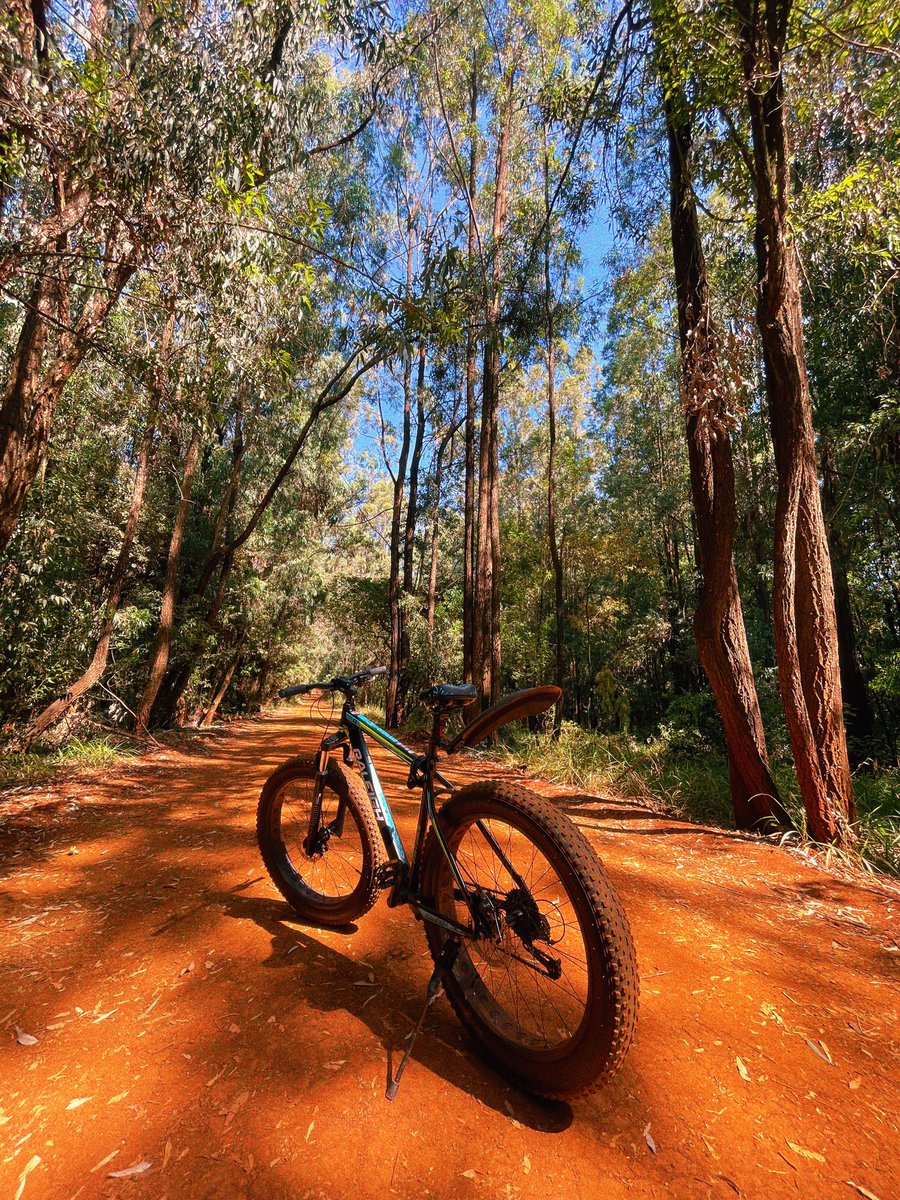 WAKITANGA II tweet media