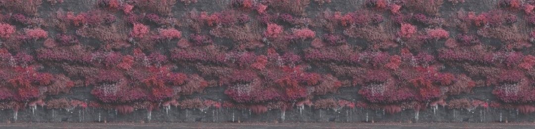 millietriton's tweet photo. EVEN IN ARCADIA COVER ART LOOPS THIS IS NOT A DRILL https://t.co/rMAoH3Czhj