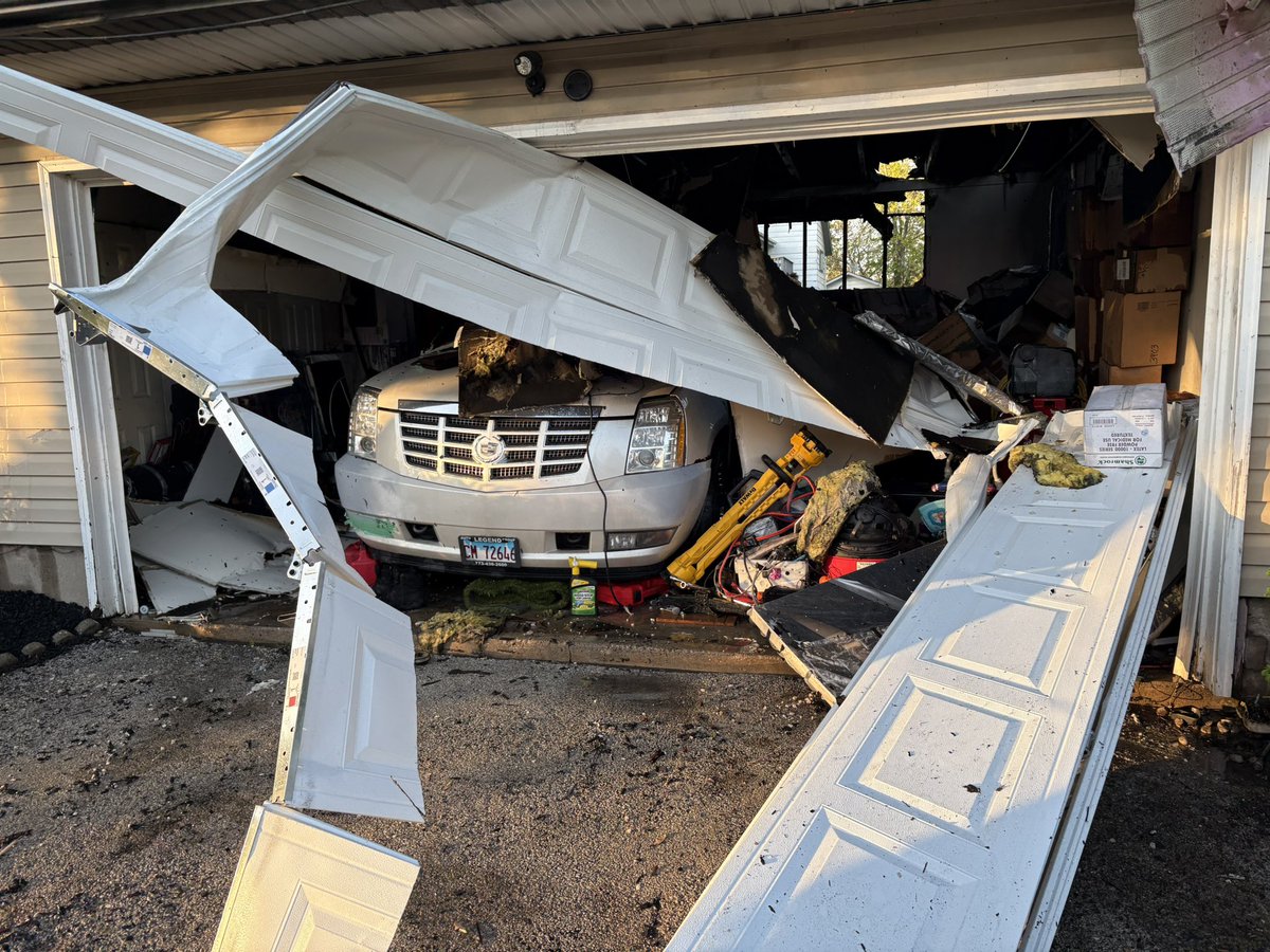 🐇Domo🐇 tweet media