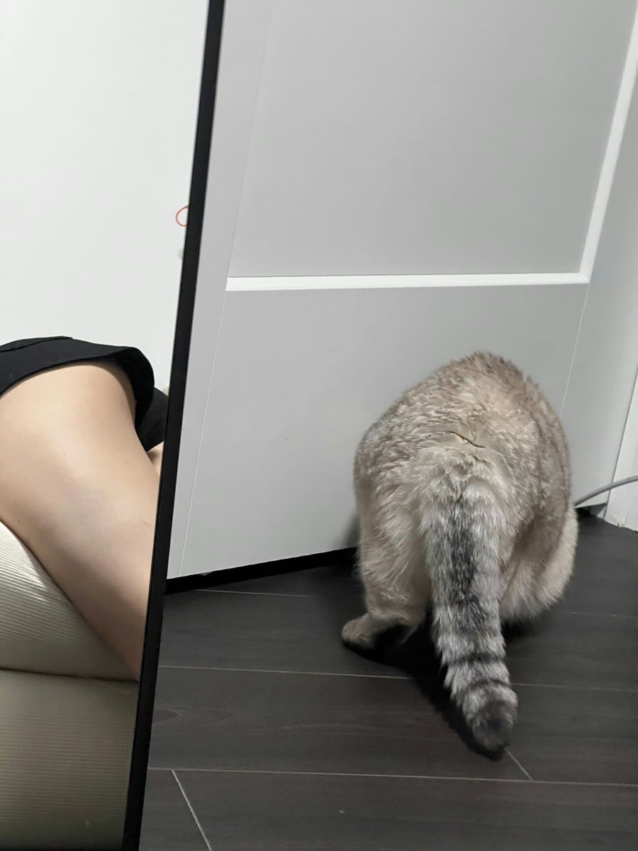 不理我是吧 我要假装SM把你往死里打