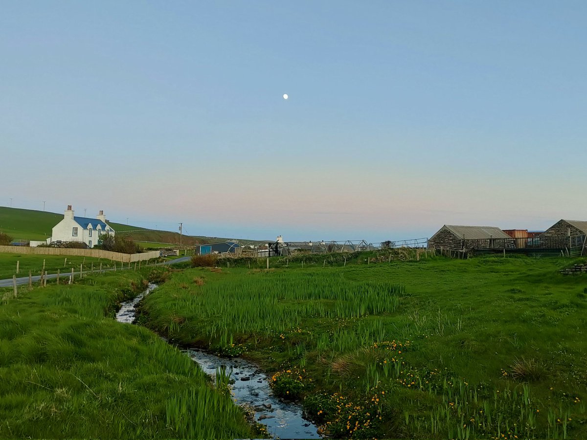 In summer,  light extends further each day. We call this lingering daylight the simmer dim. To walk in the simmer dim is to be suspended between day and night. In the stillness it seems worlds combine, boundaries of the everyday are thinner and there is magic everywhere #Shetland