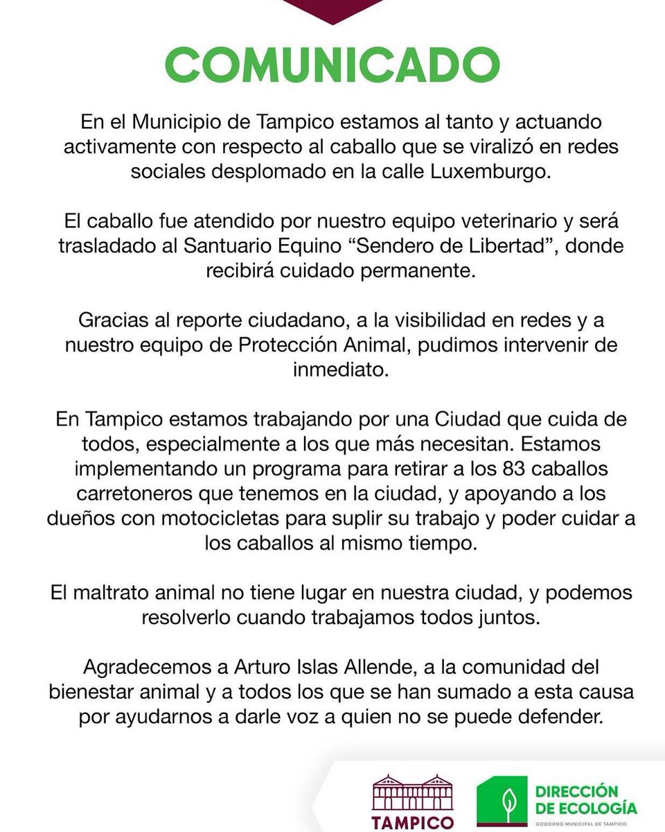 En Tampico, el bienestar animal es una causa de todos. Gracias al reporte ciudadano y al trabajo de nuestro equipo de Protección Animal, intervenimos de inmediato en el caso del caballo en la calle Luxemburgo.

El maltrato animal no tiene lugar en nuestra ciudad.