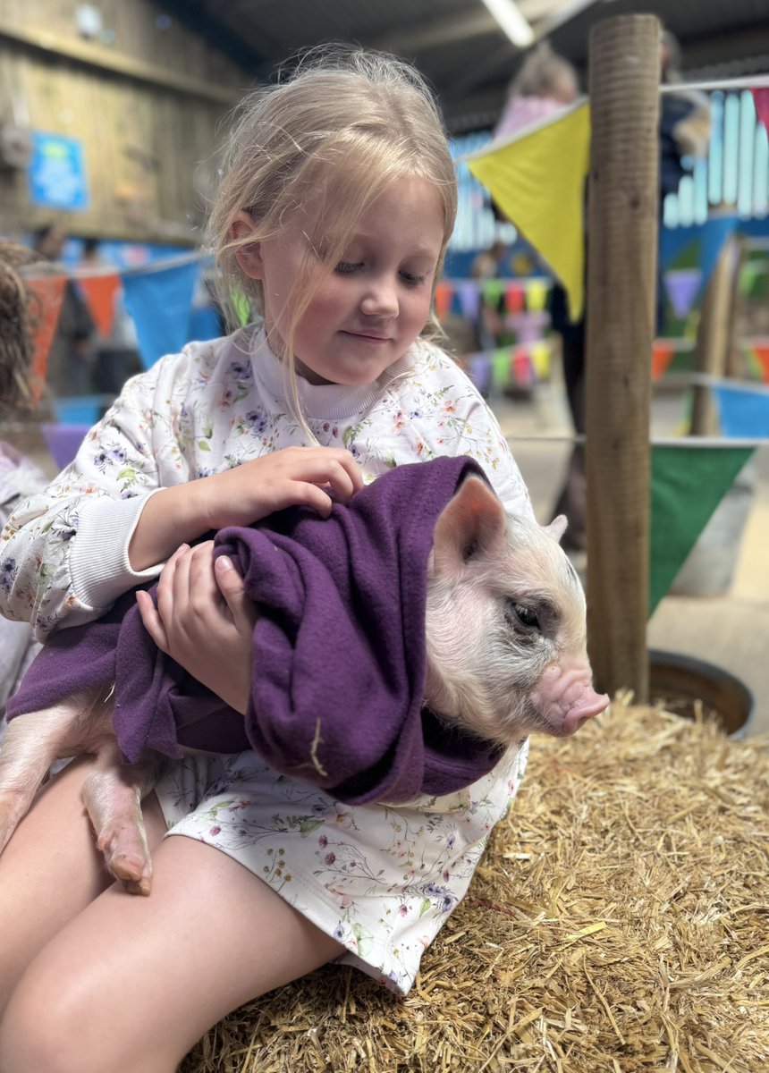 EmilyWogan's tweet photo. @MissLinklater @MrsManson1GM @mrsgrassby @MrsDyeBPS 

🐷🌾🐐🦆🌸🐄👩🏼‍🌾🫏🚜☀️ https://t.co/lTrYb6HNj6