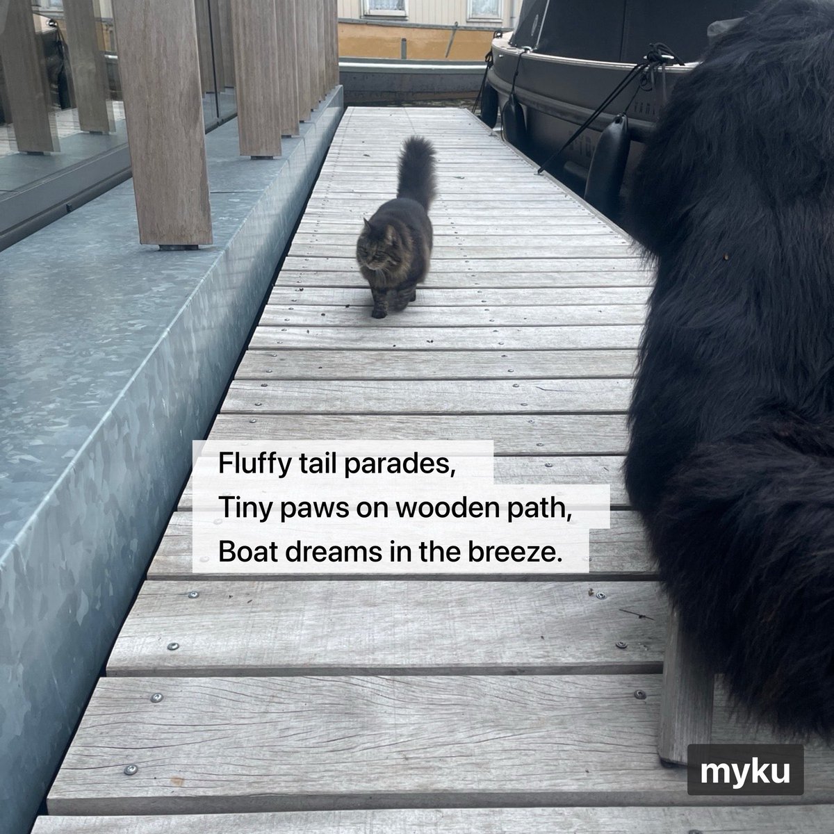 jrvdh73's tweet image. $MYKU ☮️🚀
CA: HohL7oPEpzekWsWiDSa1ewohT92QZyumWnUqiUQKq6SK