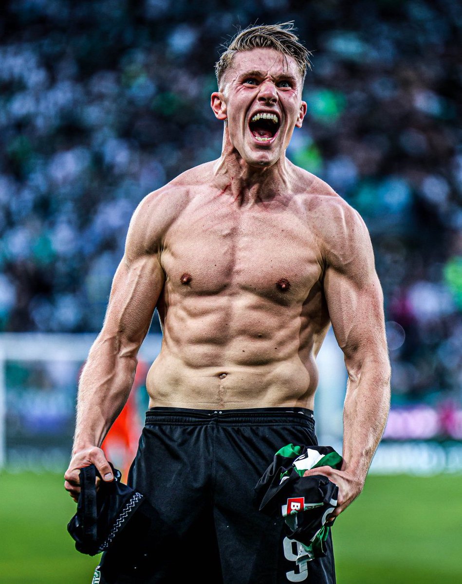 Nunomel 🦁🇺🇸 tweet media