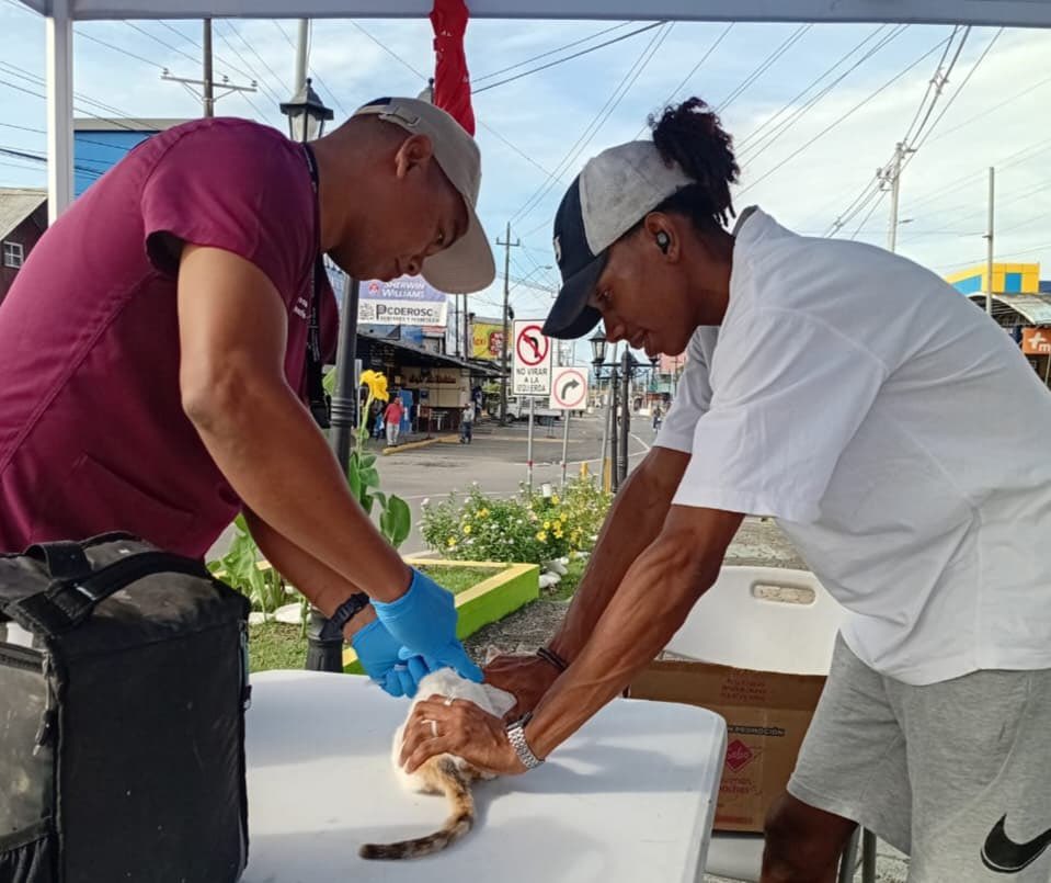 MINSAPma's tweet image. #BocasDelToro | En conjunto con la @CSSPanama, realizamos una jornada integral de salud con servicios de medicina general, vacunación, laboratorio, toma de presión, evaluación nutricional, trabajo social, psicología y atención veterinaria para mascotas. #MinsaPanamá