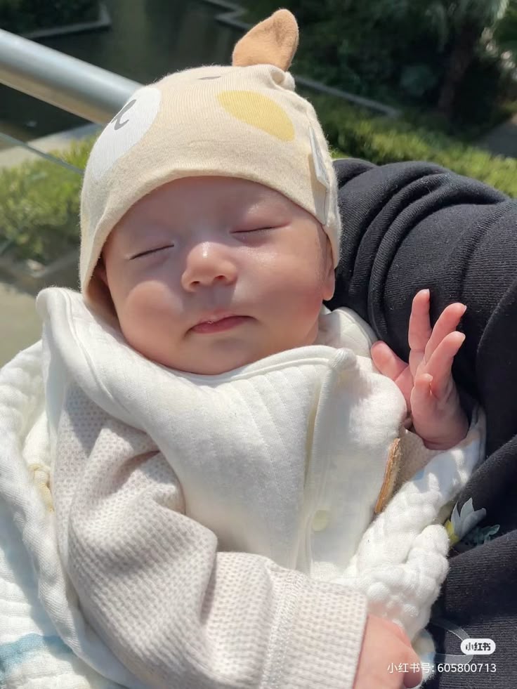 Denle la bienvenida a Ryu.