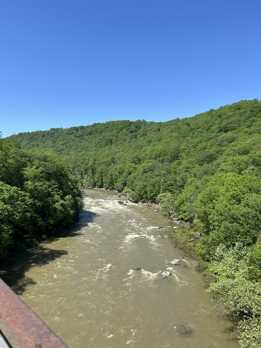 Katie Hedderman tweet media