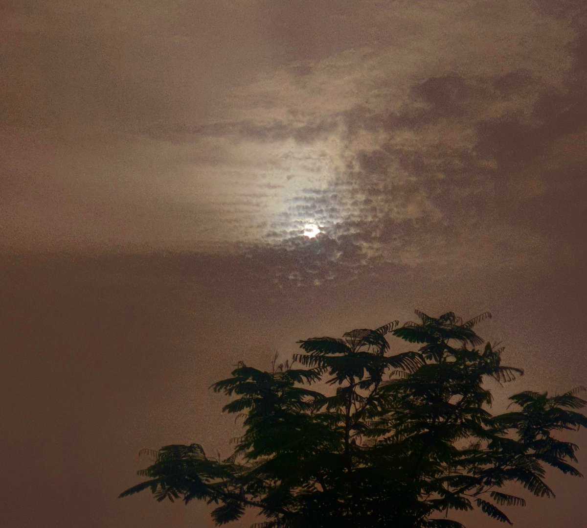 Aya_Khaaled's tweet image. مبسوطة بصورة صورتها النهارده محسساني بشيء من روح أعماله.