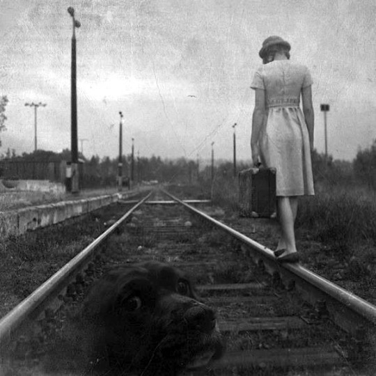 Alex Howitt #photography