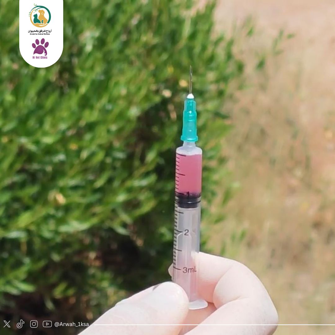 وتتقدم #جمعية_أرواح_للرفق_بالحيوان بجزيل الشكر والتقدير لعيادة هاي فيت البيطرية وطبيبها محمد الشريف على تعاونهم ومساهمتهم في تطعيم وتحصين القطط والكلاب في حملة #لنحميهم_من_السعار