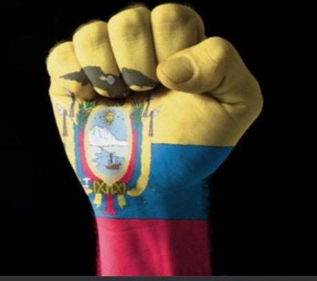 R.Correa es el ícono del Progresismo en🇪🇨, una referencia nacional, regional e internacional d cómo la justicia social debe y debería trabajar para el bien común.
Lástima no poder ser representados en estos momentos donde la lealtad, respeto y amor x la Patria son tan necesarios.