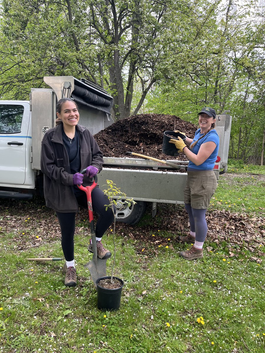Trees for Hamilton tweet media