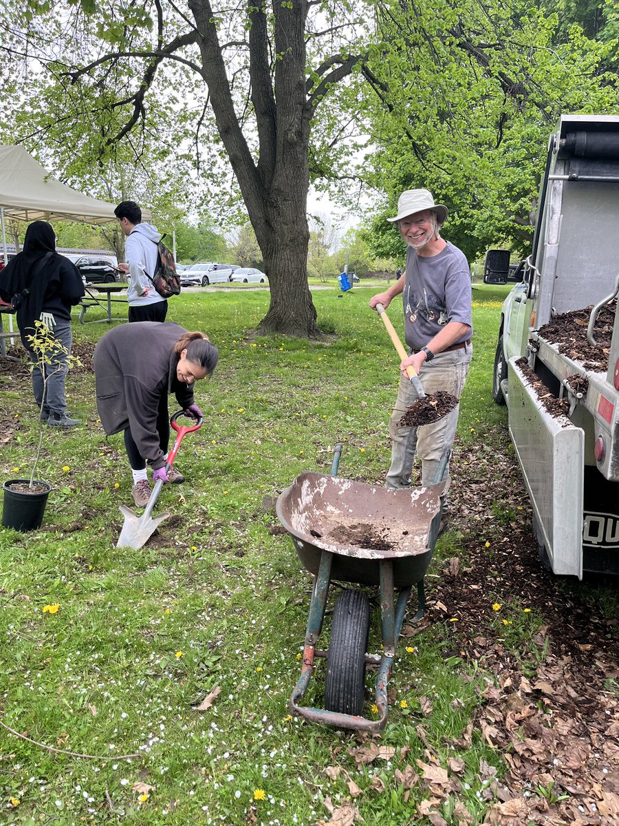 Trees for Hamilton tweet media