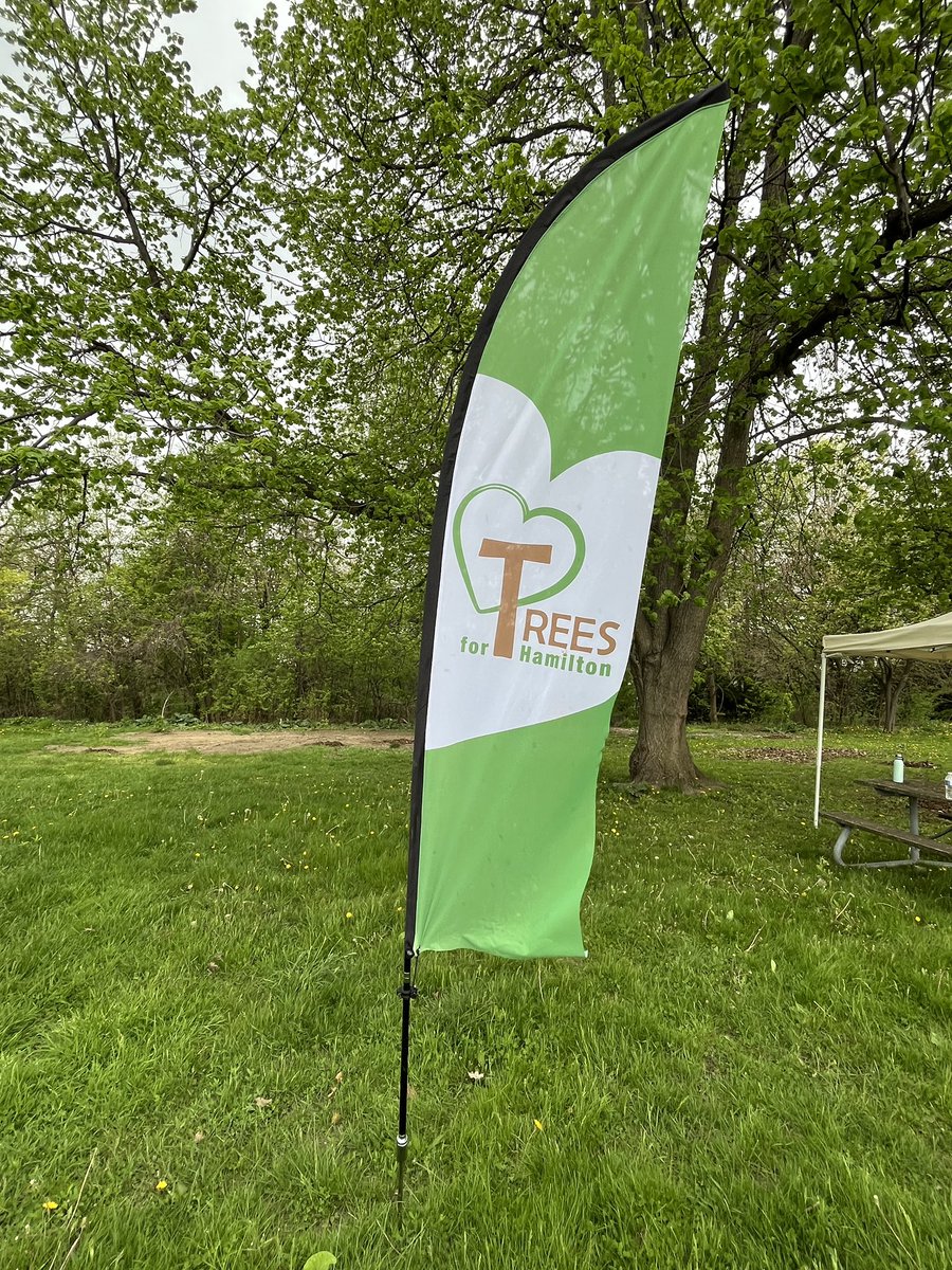 Trees for Hamilton tweet media