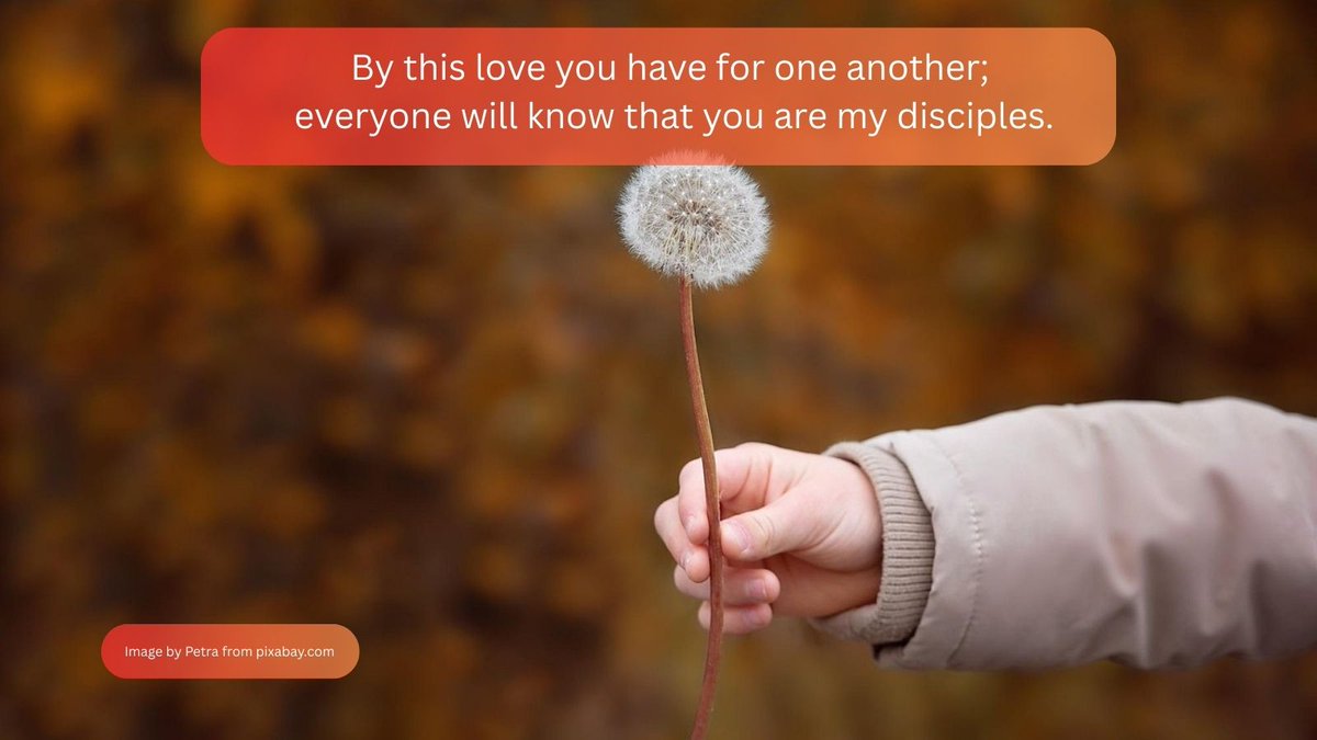 srjudithl's tweet photo. #ANewCommandment, #Benedictine, #challenge, #Christ, #Christlike, #Disciples, #Discipleship, #eastertide, #gospel, #Grounded, #Hope, #kingdom, #KingdomValues, #lectiodivina, #love, #newlife, #trust A new commandment, new blog post on https://t.co/Txat1nqQnS https://t.co/EgSQMNZpuD