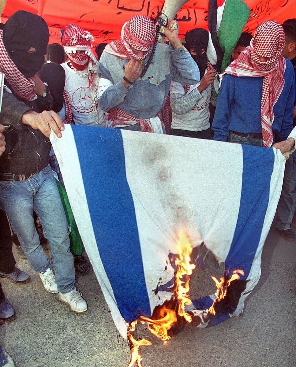 𝖆𝖑𝖐𝖔𝖍𝖔𝖑🐊 (@ketaminalex) on Twitter photo 