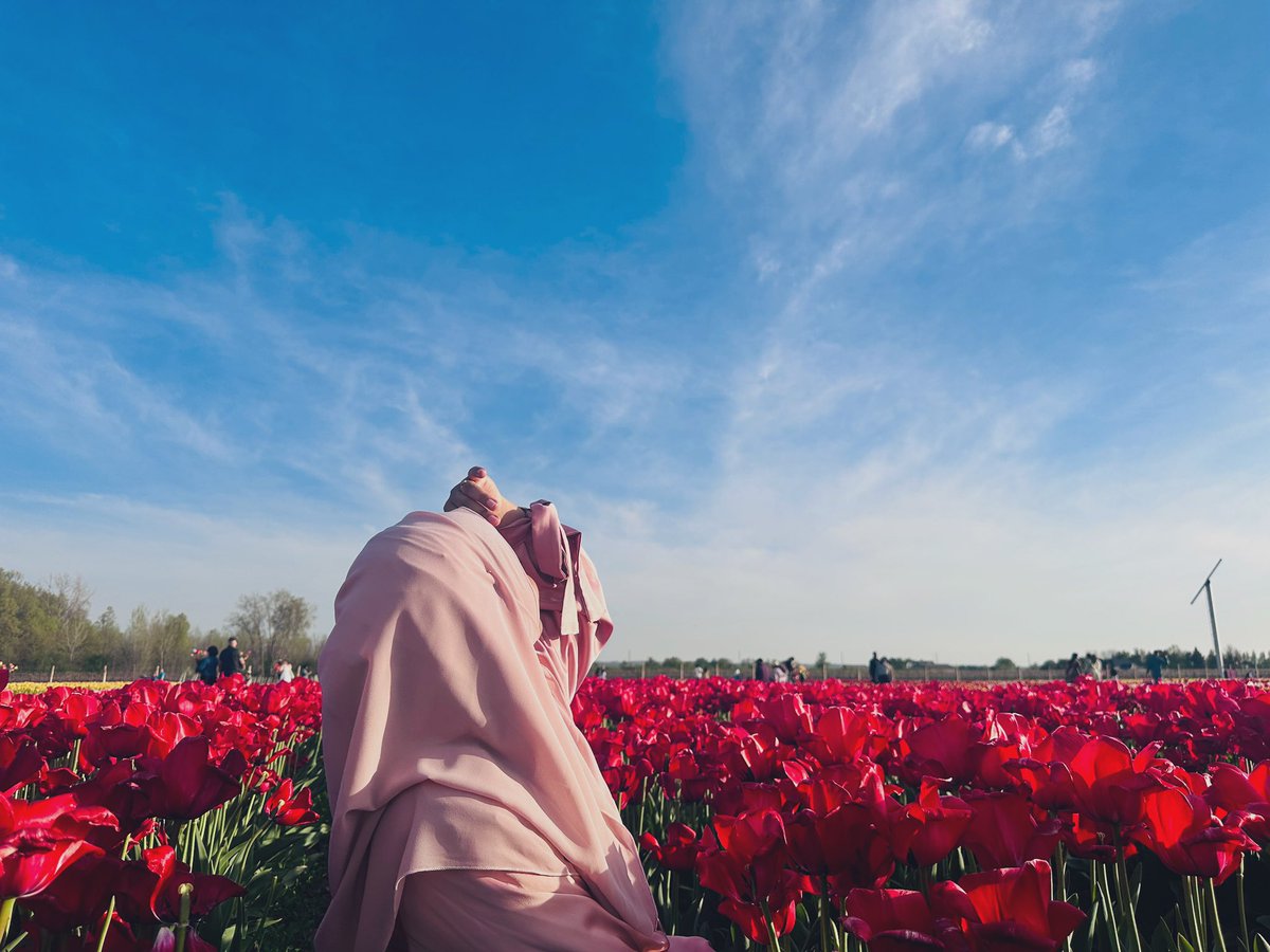 InamFazee's tweet photo. Into the flowers! Peace!  Tulip season in full bloom! Nature’s perfect palette 

#tulips #tasc #GrowTogether #feelingchildhood #lostintheflowers https://t.co/E4zwbuysY5