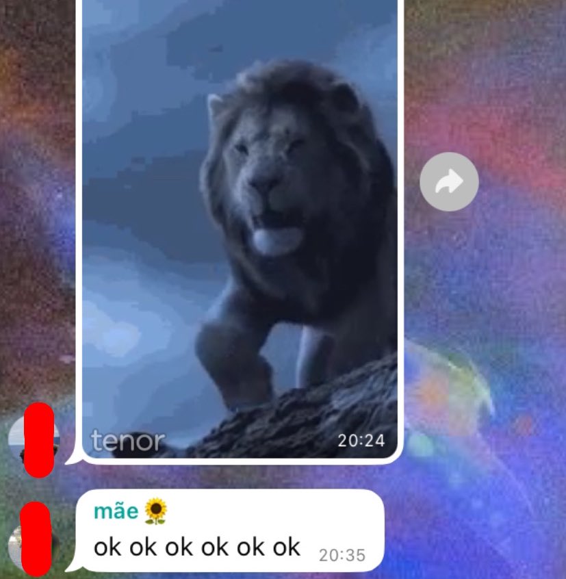 o meu pai tá a sportingar tanto que a minha mãe se tornou no tyler the creator