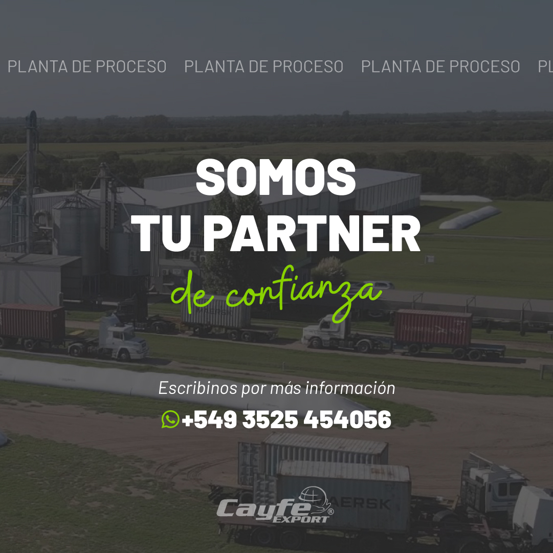 cayfe_export's tweet image. Acondicioná tu producción en nuestra planta de proceso, completamente equipada y preparada para brindar la mejor calidad a tu producto final🏭

📲Escribinos para más información al 3525 454056