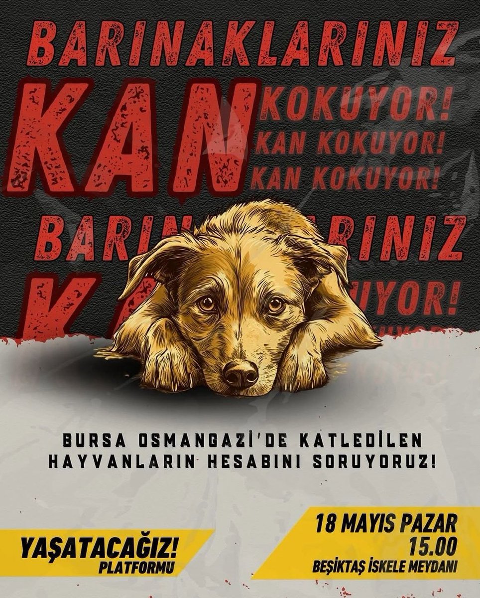 omer_art3's tweet photo. #OsmangazideKatliamVar 
Pazar günü Beşiktaş’ta saat 15:00’de protesto edilecek. https://t.co/rtRc1d4inp