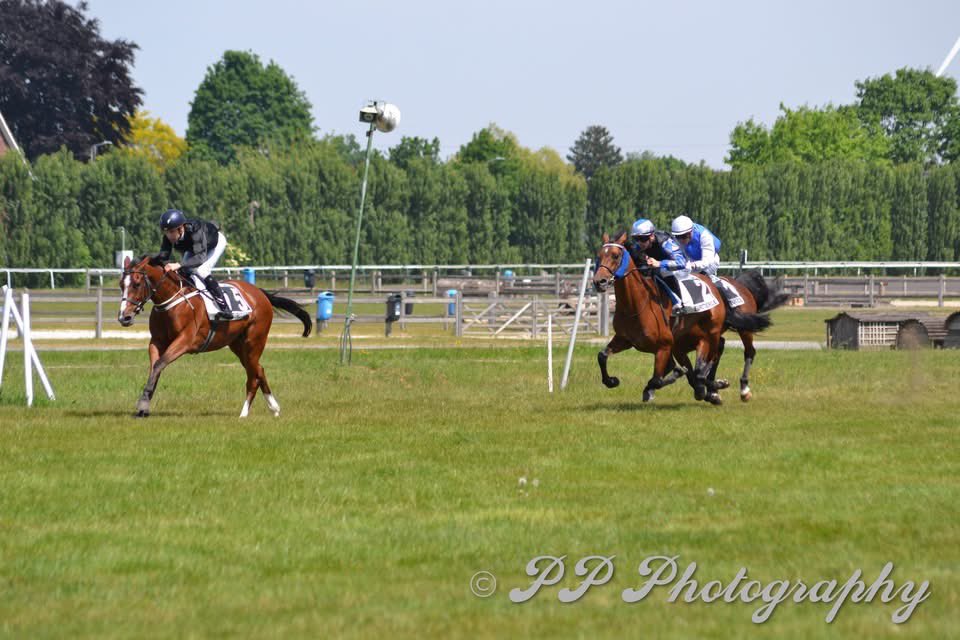 lefebvrefabien1's tweet photo. 🌟Double 🏆🏆 Winner🌟on Wednesday at Waregem🇧🇪:
-🥇 #RedPropeller🐎
-🥇 #FaridaP🐎 (Arabian)
- 4️⃣#LoverMimi🐎
Photo: P. Peelman
Agents:
Lisa Pauwels🇧🇪
@Benjhub🇫🇷 https://t.co/pdmal3wBC6