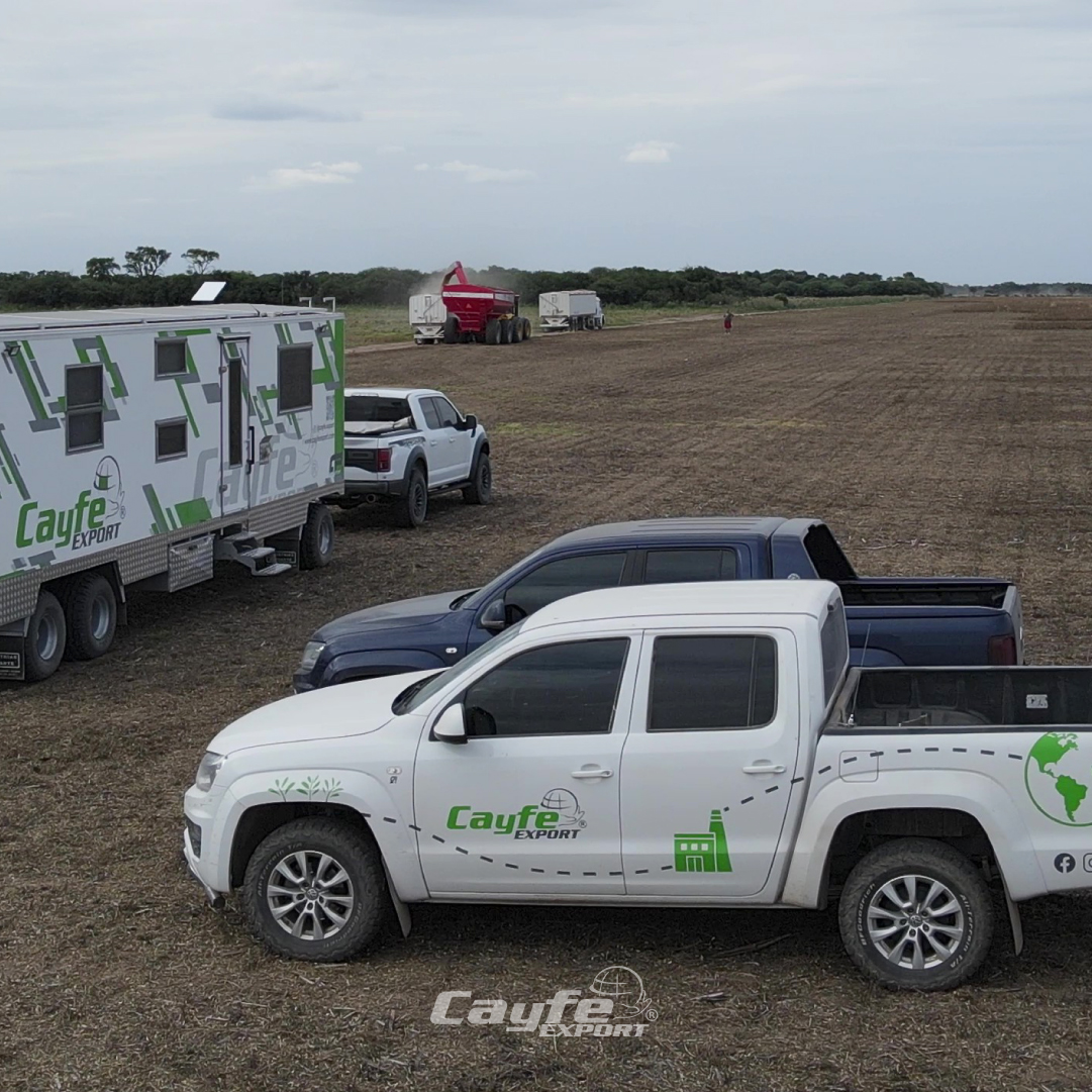 cayfe_export's tweet image. Hacemos patria🇦🇷

En cada siembra, riego, visita al campo, control, análisis, estudio, capacitación, cosecha y mucho más. Dando lo mejor de nosotros, en equipo, tirando para el mismo lado, llevar al campo argentino a lo más alto✊🏽🚜

¡Feliz día de la patria! Sigamos honrándola💚