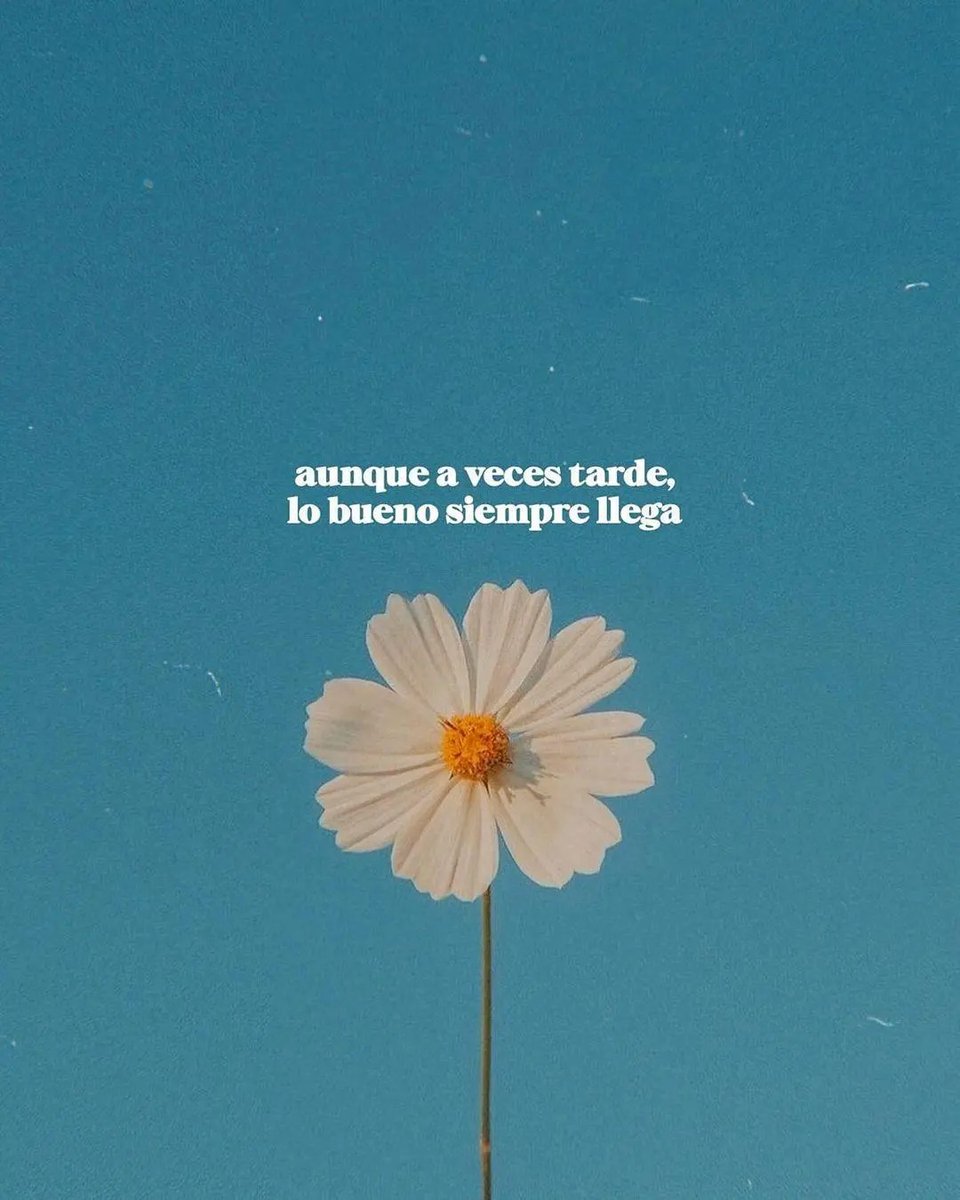 textosnublados's tweet image. 