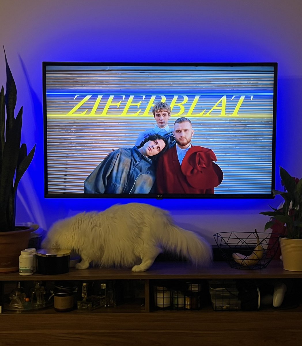 Lavrinchuck's tweet photo. Heeey!! Vote for #Ukraine #7 at #Eurovision!!💛💙 

or at least if you like how my cat is eating 

#Eurovision2025 https://t.co/iMR8sxSqnQ