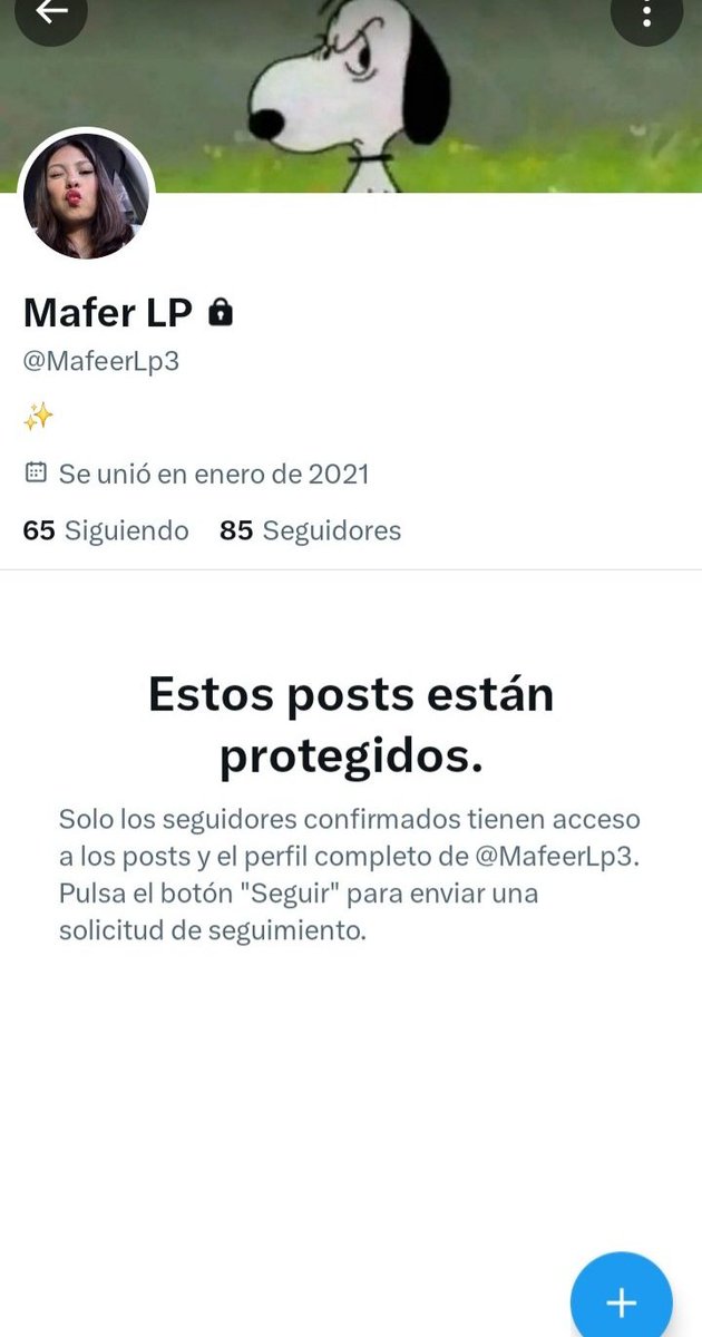 Papeadas Bíblicas tweet media