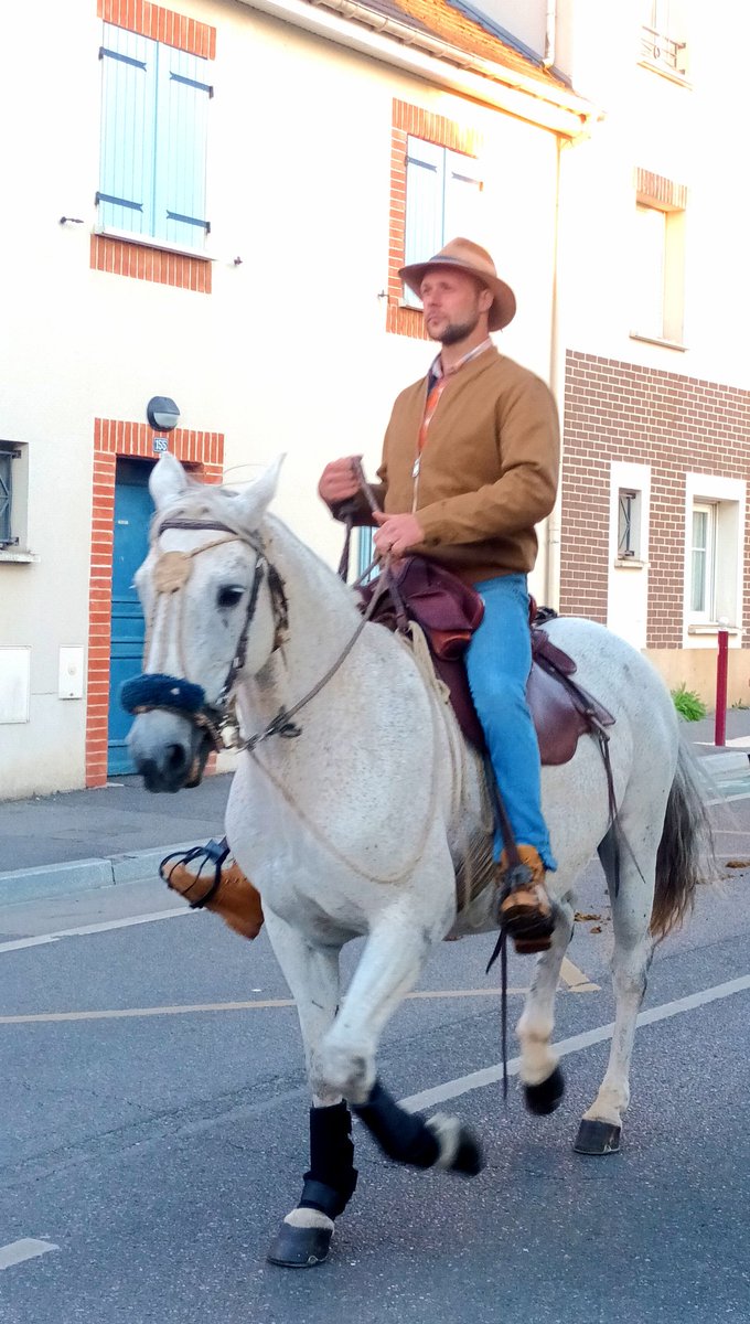 CathMelin's tweet photo. La manade de chevaux à #Beauvais pour les 800 ans de la cathédrale 🐎🐴 https://t.co/pmVfLlKBxn