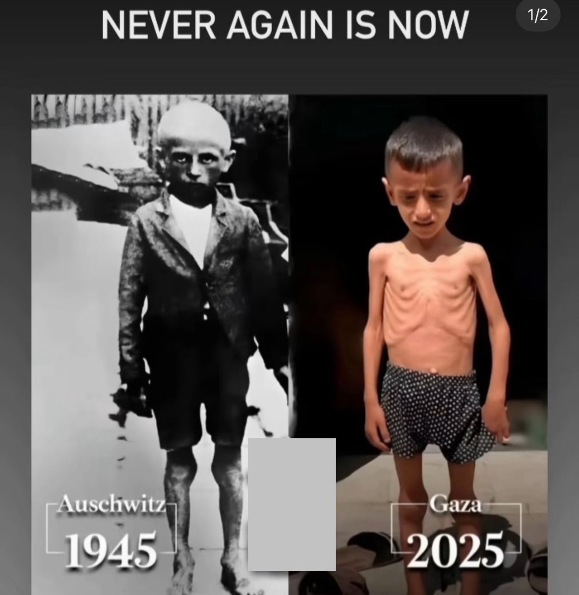 Nunca dejará de estremecerme que haya judíos que puedan hacer con los palestinos lo mismo que sufrieron los judíos a manos de los nazis.