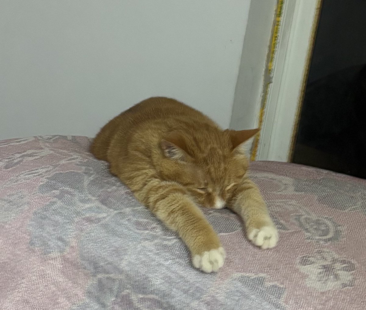 黄推福利内容 - 兔兔o的精彩图片 福利姬兔兔o分享的黄推图片2 - 网红私拍内容