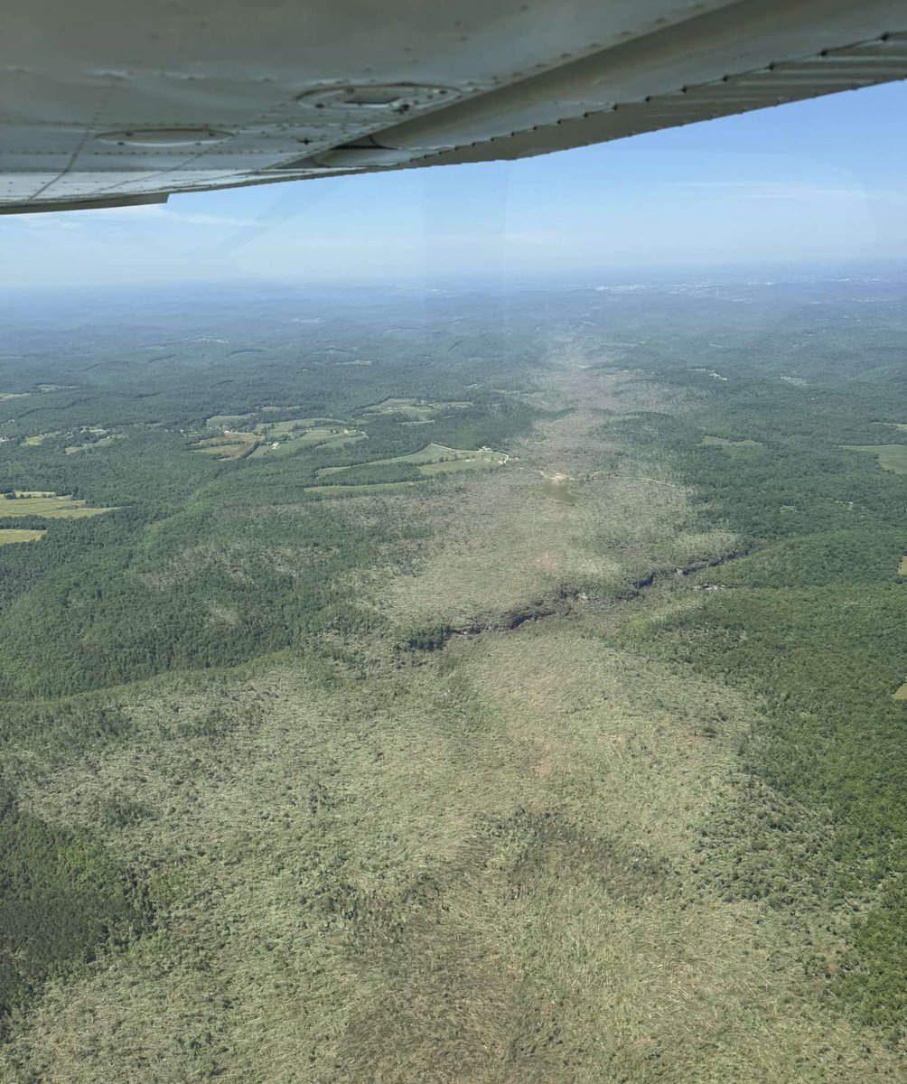 I don’t know if you can get an EF5 damage indicator from tree damage, but this is utterly insane. There isn’t one tree left standing that’s in the path.