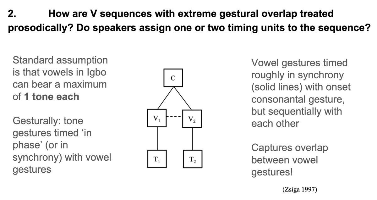UCalgaryLing's tweet photo. Today PhD candidate Vincent Nwosu presented “Rhythmic Constraints on Vowel Coalescence in Igbo: Evidence from Children’s Song” with his co-supervisor Harvard prof. Katie Franich at the 56th Annual Conference on African Linguistics in Minneapolis, MN #ACAL https://t.co/3EhkuDoaw8
