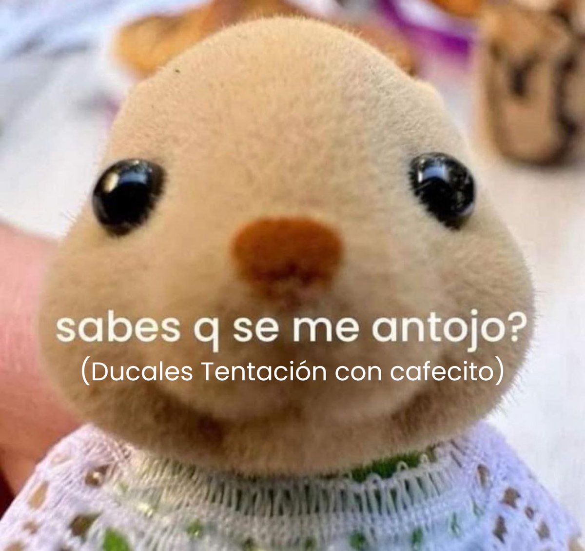 Yo tranquilamente a las 4:00 p.m: