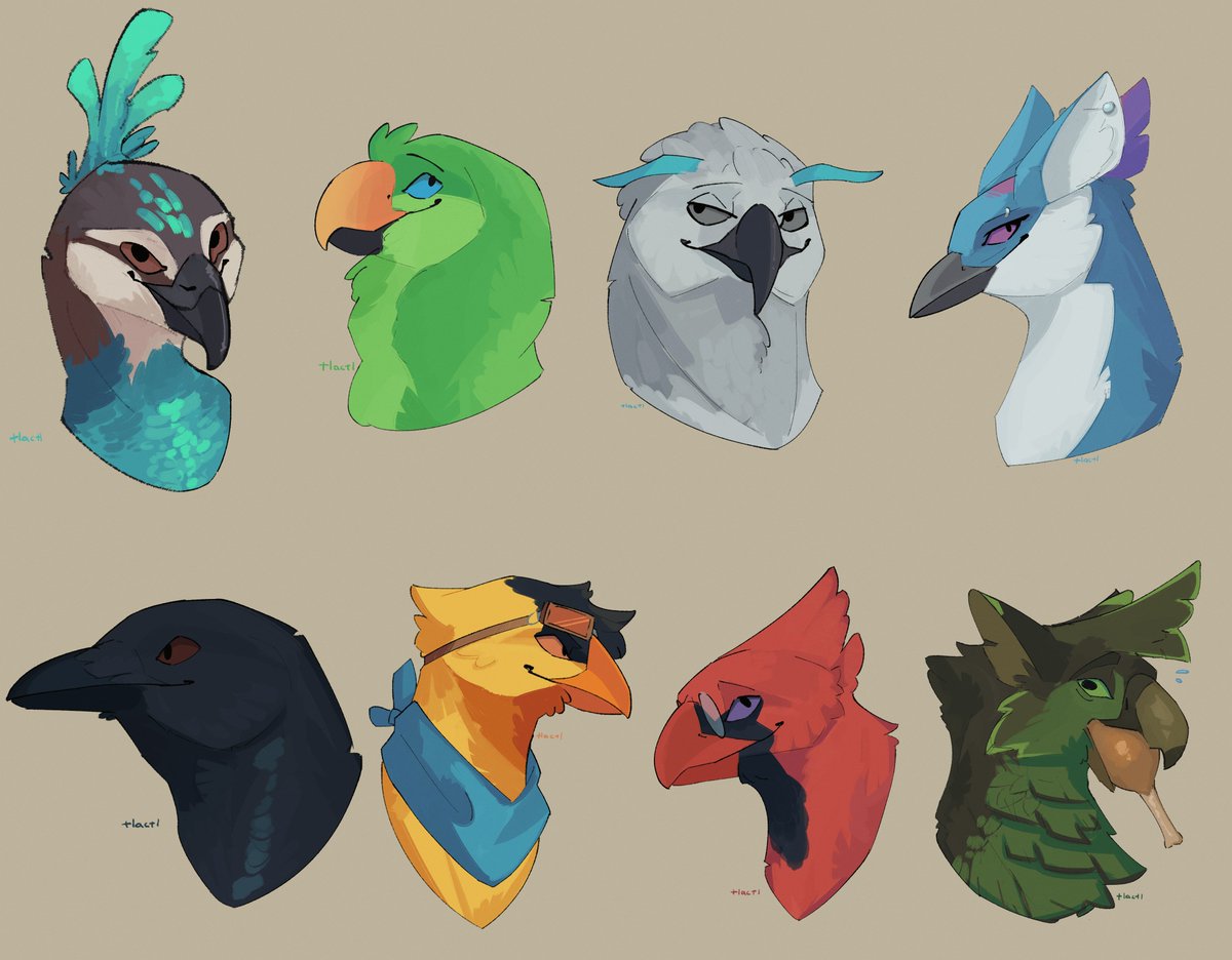 bird sheet nine