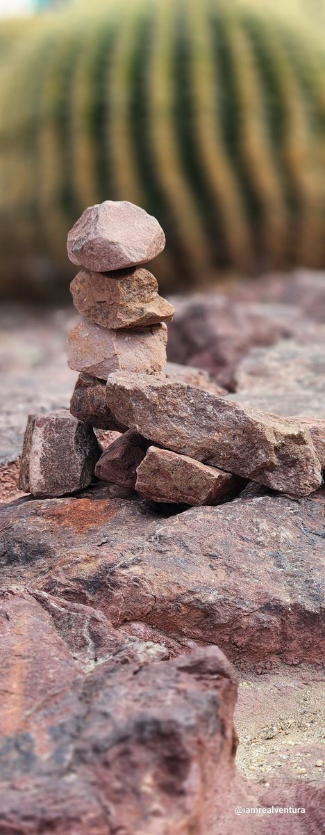 The Real Ace Ventura🇺🇸 (@iamrealventura) on Twitter photo 