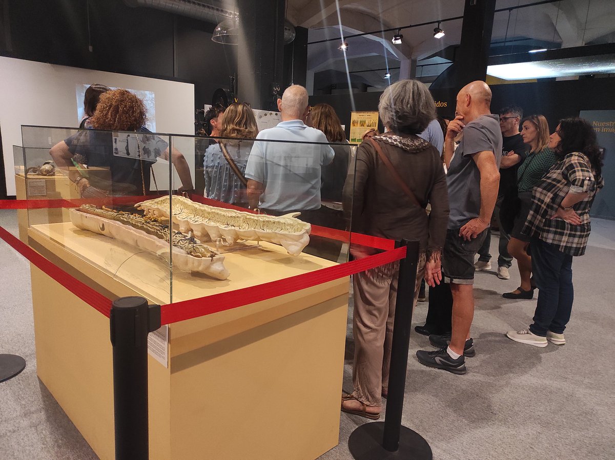 Museociencia's tweet photo. Muy contentos por las 698 personas que hoy nos han visitado para conmemorar la Noche Europea de los Museos, conociendo nuestras salas, colecciones y disfrutando del Planetario y de la Sala DescubreH2O.
#NochedelosMuseos #Organkits #Seda #DescubreMCYA https://t.co/q2KQ3U2VlV